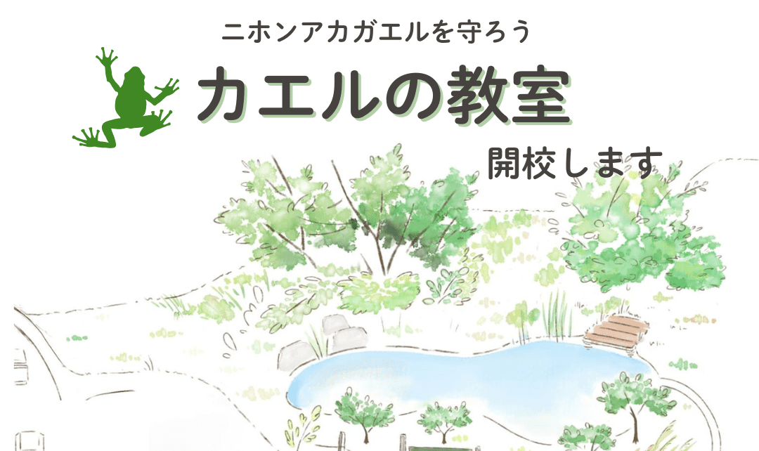カエルの教室 開校します - 川棚 大崎 瑠璃の水辺